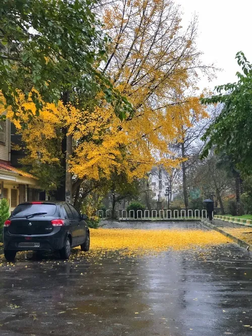 پاییزی ترین روز رشت😍