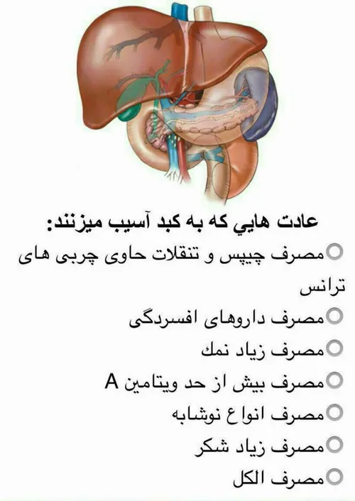 کبد