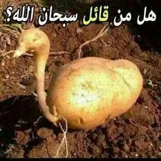 بدون شرح 