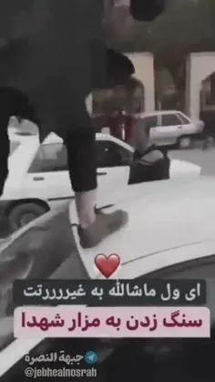 اب دریا با پوزه سگ نجس نمیشه