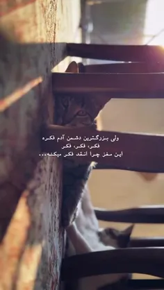 (فکر فکر فکر)