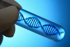 بر روی تنها یک گرم از DNA انسان، می توان تمام اطلاعات فیس