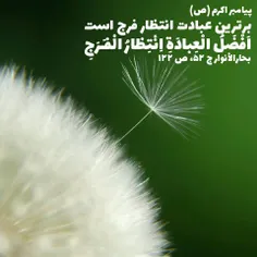 #حضرت_محمد(ص):