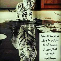 بابا فاز غم نبند