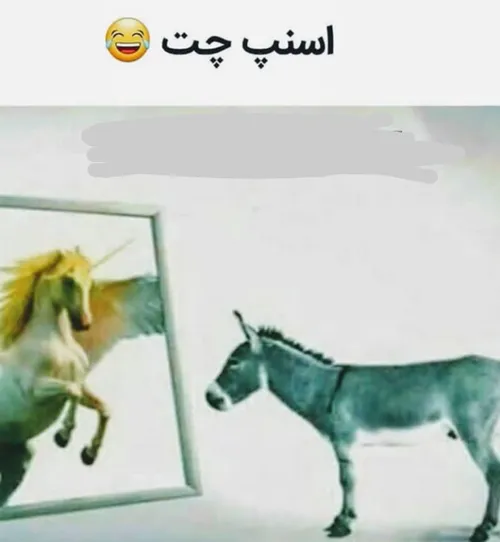 😂 😆 آخر واقعیت