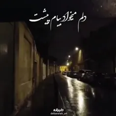 دلم میخاد بیام پیشت بزارم سر روی دوشت🥺🖤