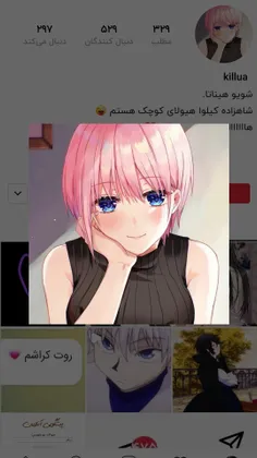 فالو شه 