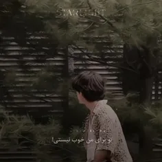 بهتون با حس حال قشنگ پارسی شب بخیر میگم💜🌑