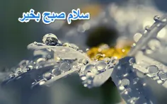 گوناگون mohsenasl 16976534