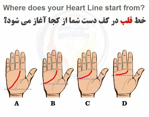 🔘 شروع خط قلب در کف دست شما شبیه کدام تیپ است؟