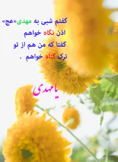 اللهم صل علی محمد و آل محمد و عجل فرجهم 