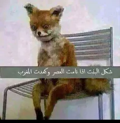 هههههه