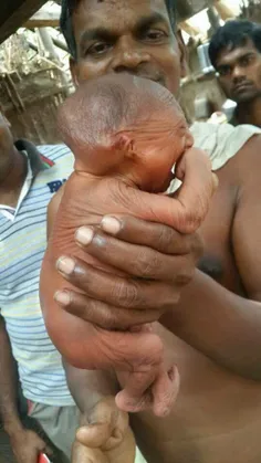 این نوزاد کوچولو که از ظاهرش پیداست کارشناس ها تشخیص دادن