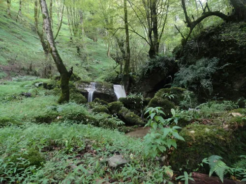 🍃 طبیعت زیبای روستای جیرده آلیان فومن