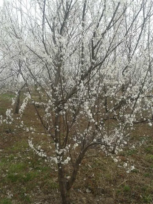 متنی زیبا از فروید پدر روان شناسی دنیا...