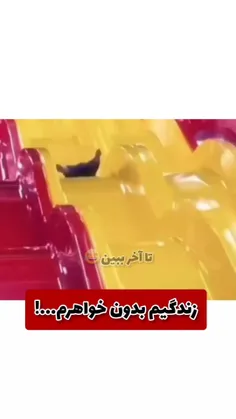 منی که خواهر ندارم ولی سه ساعته دارم به این میخندم😂😂🤌