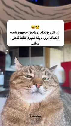 حقق😐😑👍