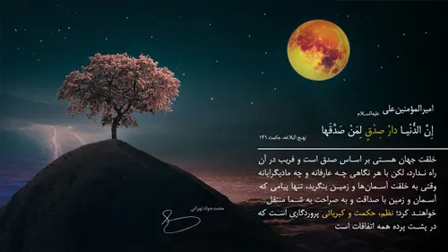 امیرالمؤمنین علی(علیه السلام)