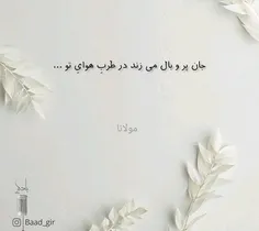 جان و دل پر میزند..