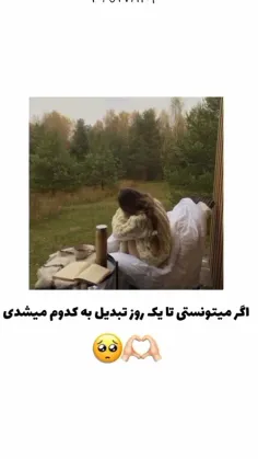 چالش این پست: سگ یا گربه