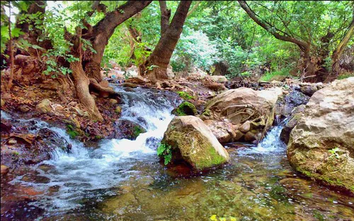 دره زیبای شیرز- کوهدشت لرستان