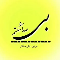 بی صدا شکستم