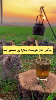 خوب گوش کن،شاید یه جا به دردت خورد👍