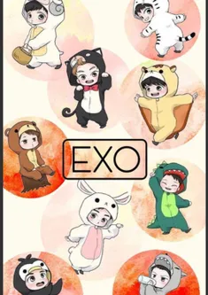 😍EXO💖