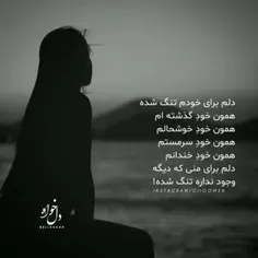 دلم برای خود قبلیم که دیگه وجود نداره تنگ شده 🍂