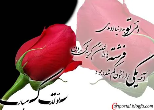 گوناگون mohsen112 6118307 - عکس ویسگون