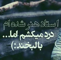 استاد هنر شده ام 