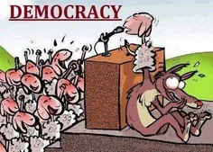 democracy injori?