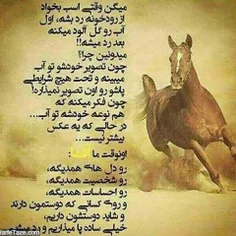 رفتار اسب