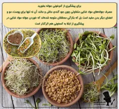 🌱عادات خوب غذایی🌱