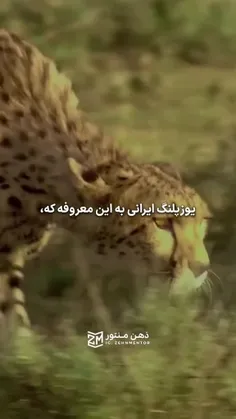 ❤️لایک و کامنت یادتون نره❤️ 