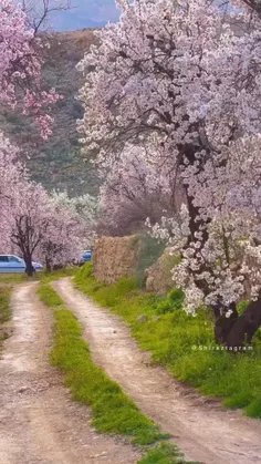 زیبایی ایران 🌹🦋