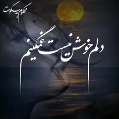 و هر کس به اندازه‌ی دلتنگی‌هایش