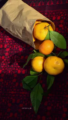 خوشا به حال گیاهان!!!!