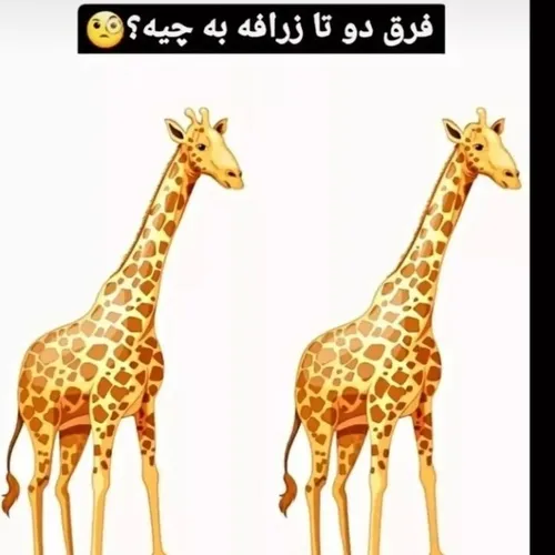 به نظر شما چه فرقی داره🤔🤔🤔🤔