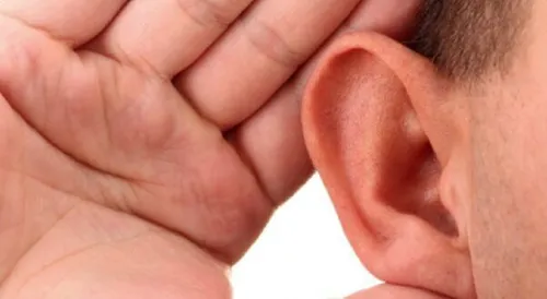تقویت گوش هر ۶ ماه یک بار به مدت ۱۵ روز در هر گوش یکی دو 