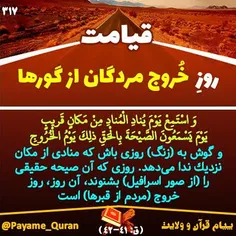 #قران #قرآن #قرآن_کریم #قران_کریم #القرآن #القران_الکریم 