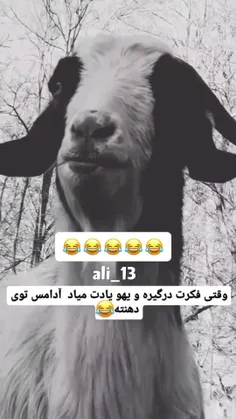 کدوم دوستته؟تگش کن🤣🤣🤣