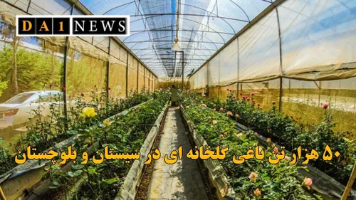 ۵۰ هزار تن محصولات باغی و گلخانه ای در سیستان و بلوچستان 