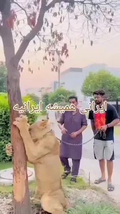 پیرمرد هندی (‌ به تلافی شکست هند از نادرشاه) میگه ما ایرا