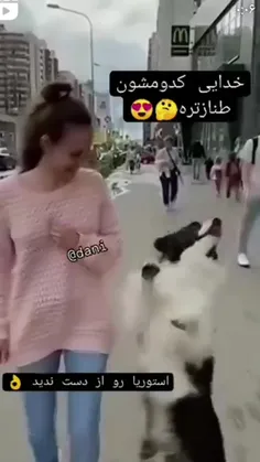 ببینید چجوری اداشو در میاره آخههه😂😂😂😂😂😂