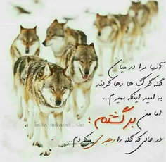 شخصی baran_00000 17811150