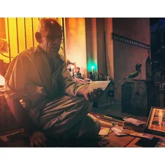 A fortune teller in Karachi reads out a fortune his parro