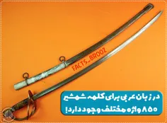 در زبان عربی برای کلمه شمشیر 850 واژه مختلف وجود دارد!