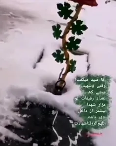 آقا سید میگفت: