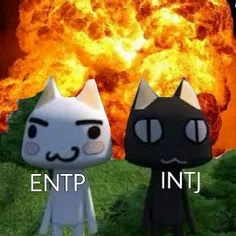 entp x lntj